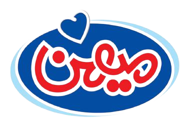 هلدینگ میهن